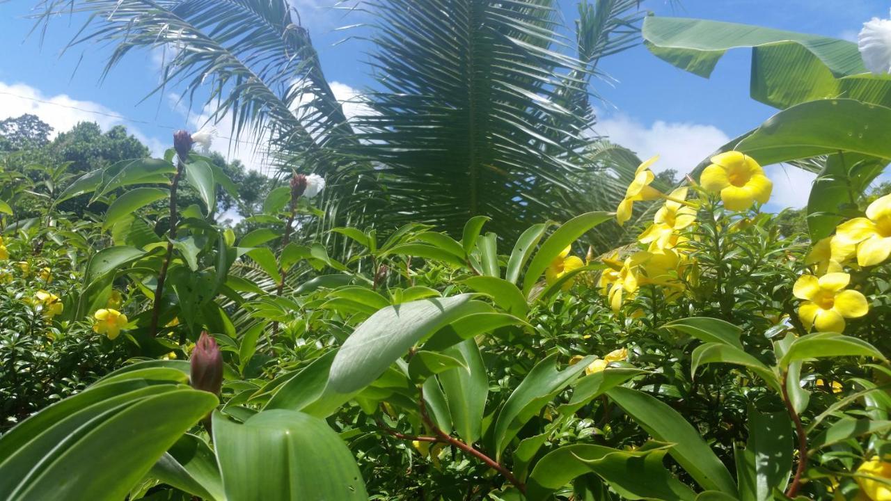 Banana Grove El Nido Hotel Exterior photo