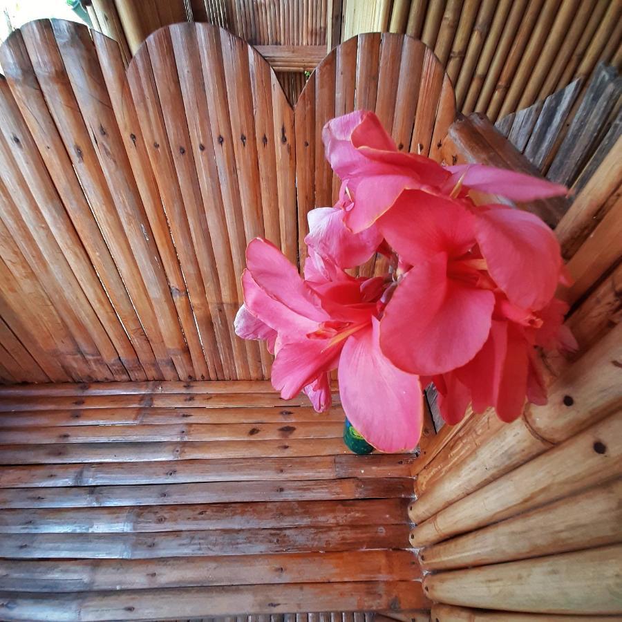 Banana Grove El Nido Hotel Exterior photo